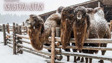 Photo of Религиозные обряды алтайцев