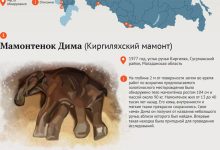 Photo of Археологические находки региона