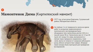 Photo of Археологические находки региона