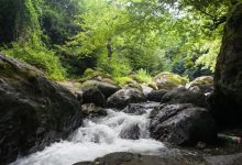 Photo of Пикник на берегу горной реки