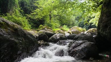 Photo of Пикник на берегу горной реки